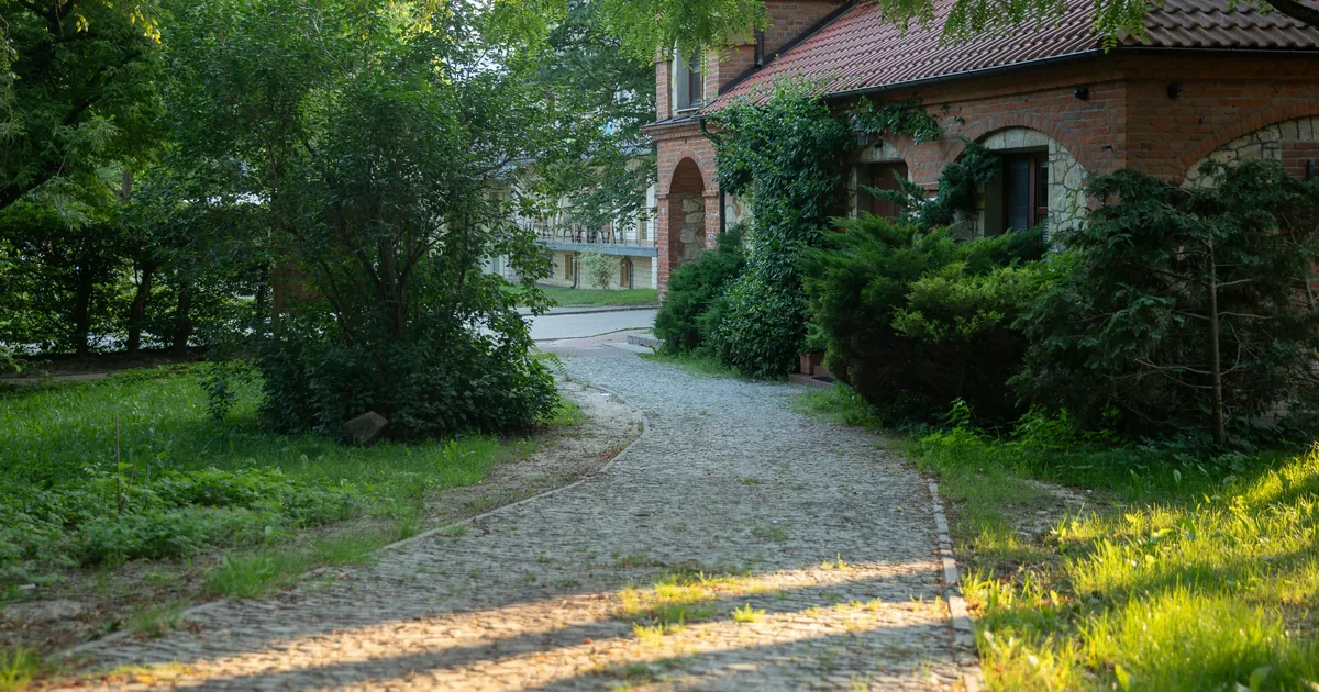 Allée pavée en courbes menant à une maison en brique, bordée de végétation