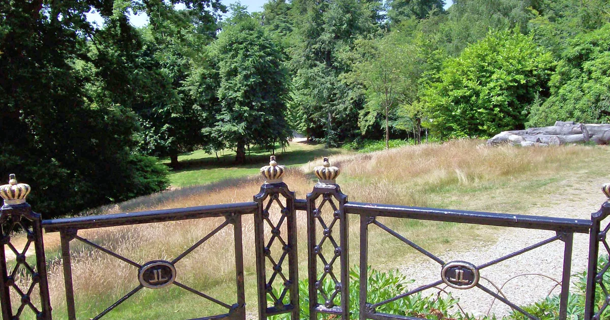 Jardin paysager existant avec arbres, pelouse et grille ouvragée