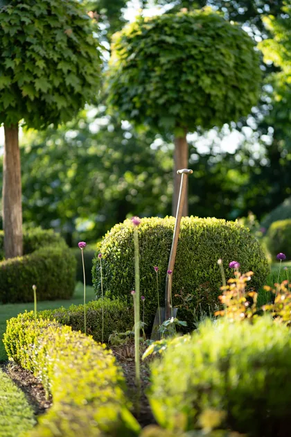 Jardin aménagé avec terrasse, pelouse et plantations à comparer dans un projet paysager