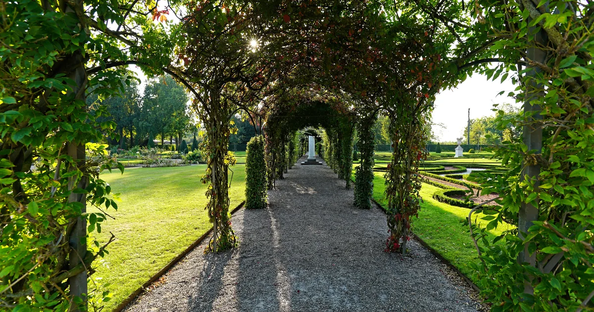 Allée bordée de végétation dans un jardin paysager structuré